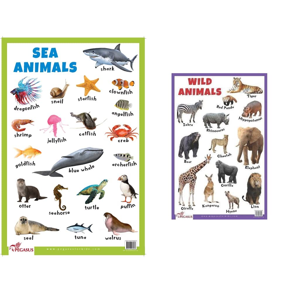Sea Animals - Thick Laminated Primary Chart+Wild Animals - Thick Laminated Primary Chart (Set Of 2 Books) Product Bundle