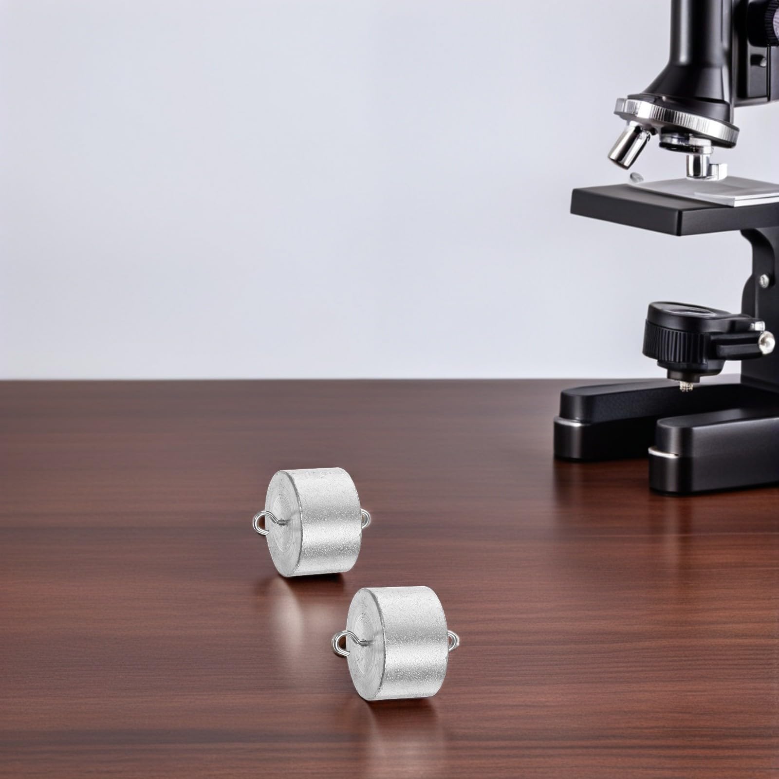 4 Pezzi Set di Pesi di Calibrazione da 100g in Ferro con Doppio Gancio, Precisione per Misurazioni Accurate in Laboratori Scolastici e Esperimenti Scientifici