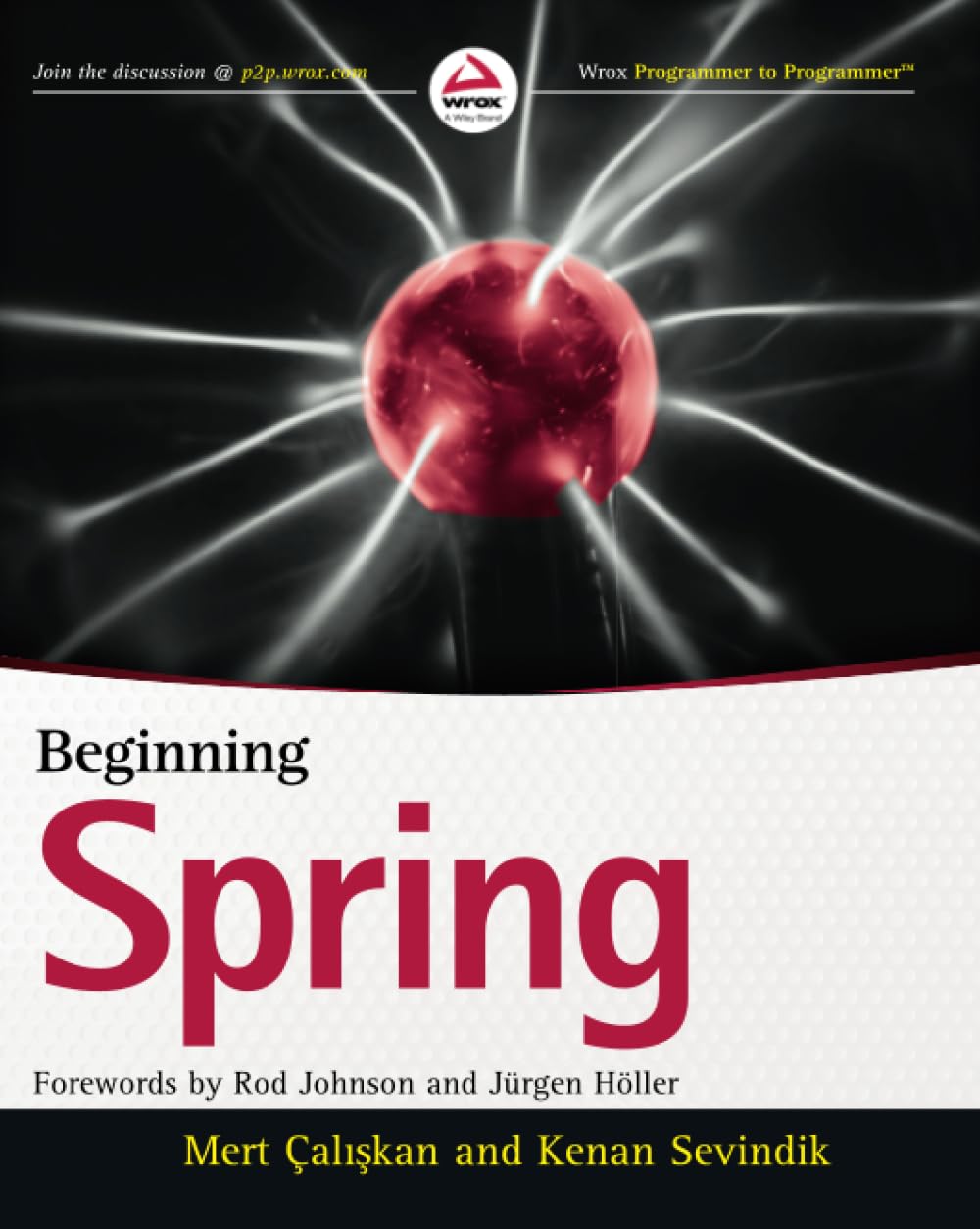Buy Beginning Spring — BookShops.in