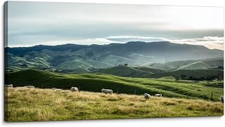 Canvas Wall Art Prints Sheep NZ Large Framed Wall Art Painting Artwork Poster Hanging Home Decor for Living Room Office Bathroom 20"x40"