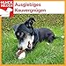 BREERs Getrocknete Rinderhufe für Hunde 25 Stück aus eigener Deutscher Herstellung, Kauartikel für Groß & Klein