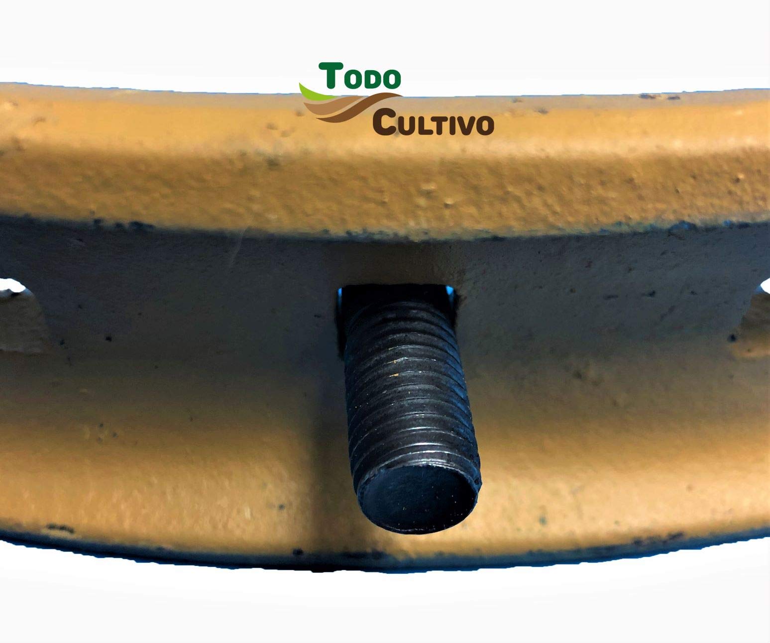 Tornillo de Arado 12X60 DIN 608. Caja 50 Uds. Tornilleria de máxima calidad marca San Lorenzo, con cabeza avellanada especial rejas de arado.