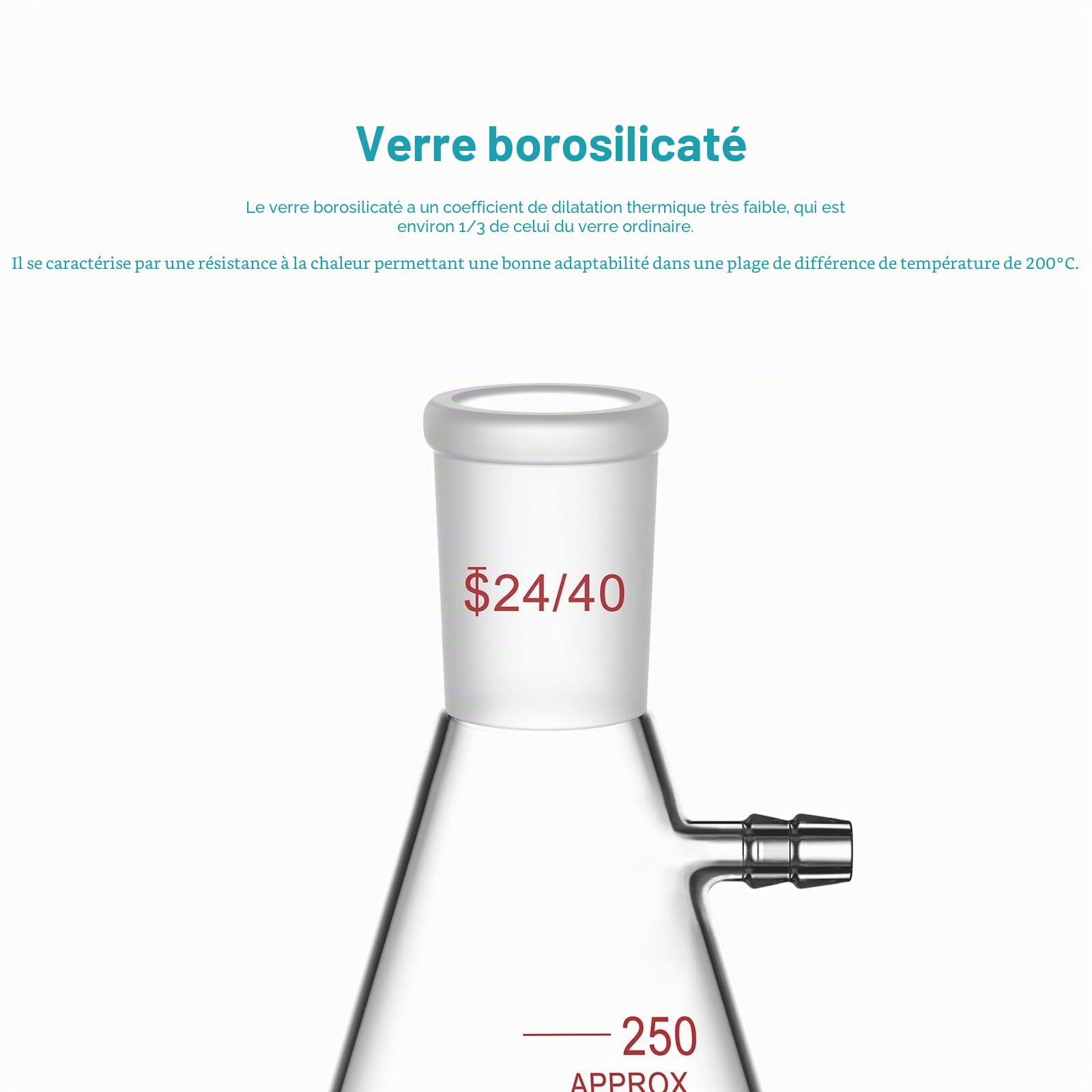 stonylab Fioles Filtrantes avec Joint Extérieur Conique Standard 24/40, Fiole à Filtre en Verre Borosilicaté à Paroi épaisse, Col à Boulon avec Tubulure, 250 ml