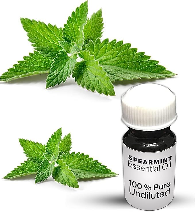 Spearmint Essential Oil / 100% Pure Spearmint Undiluted Essential Oil Premium Quality (25 ML, NATURAL)