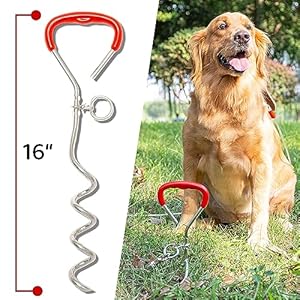 Dog Tie Out Cable and Stake – 30 FT Long Dog Cable Leash with Buffer Spring for Dogs Outside Yard Camping Travel Beach,etc. – Heavy Duty Anti Rust Stake for Small Medium Large Dogs
