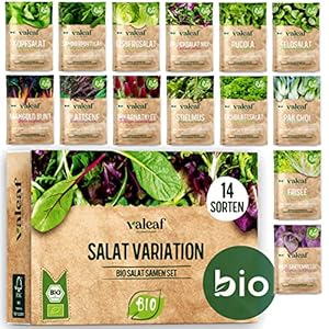 Valeaf Bio Salatsamen Set 14 Sorten