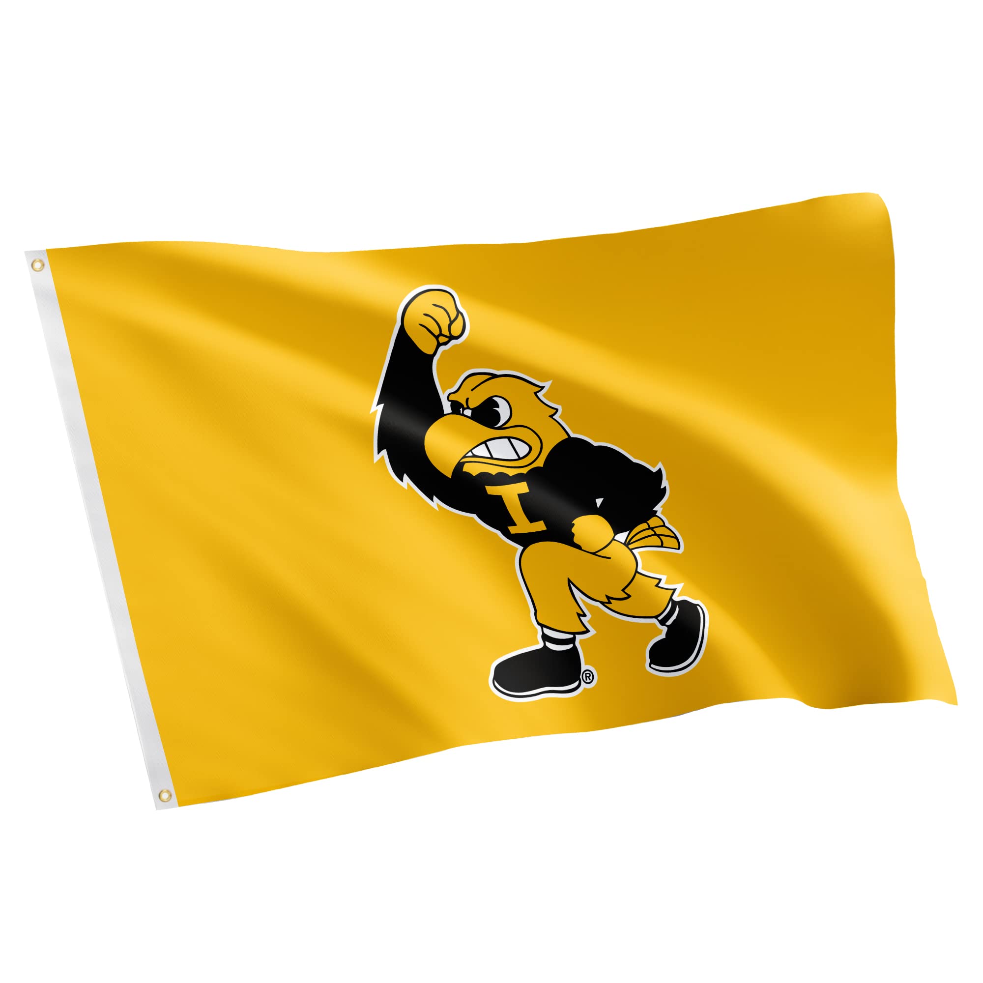 Desert Cactus University of Iowa UI Flag - 3 x 5 Feet Hawkeyes Banner, Indoor/Outdoor Durable Fabric, 100% Polyester Design (Style 3)