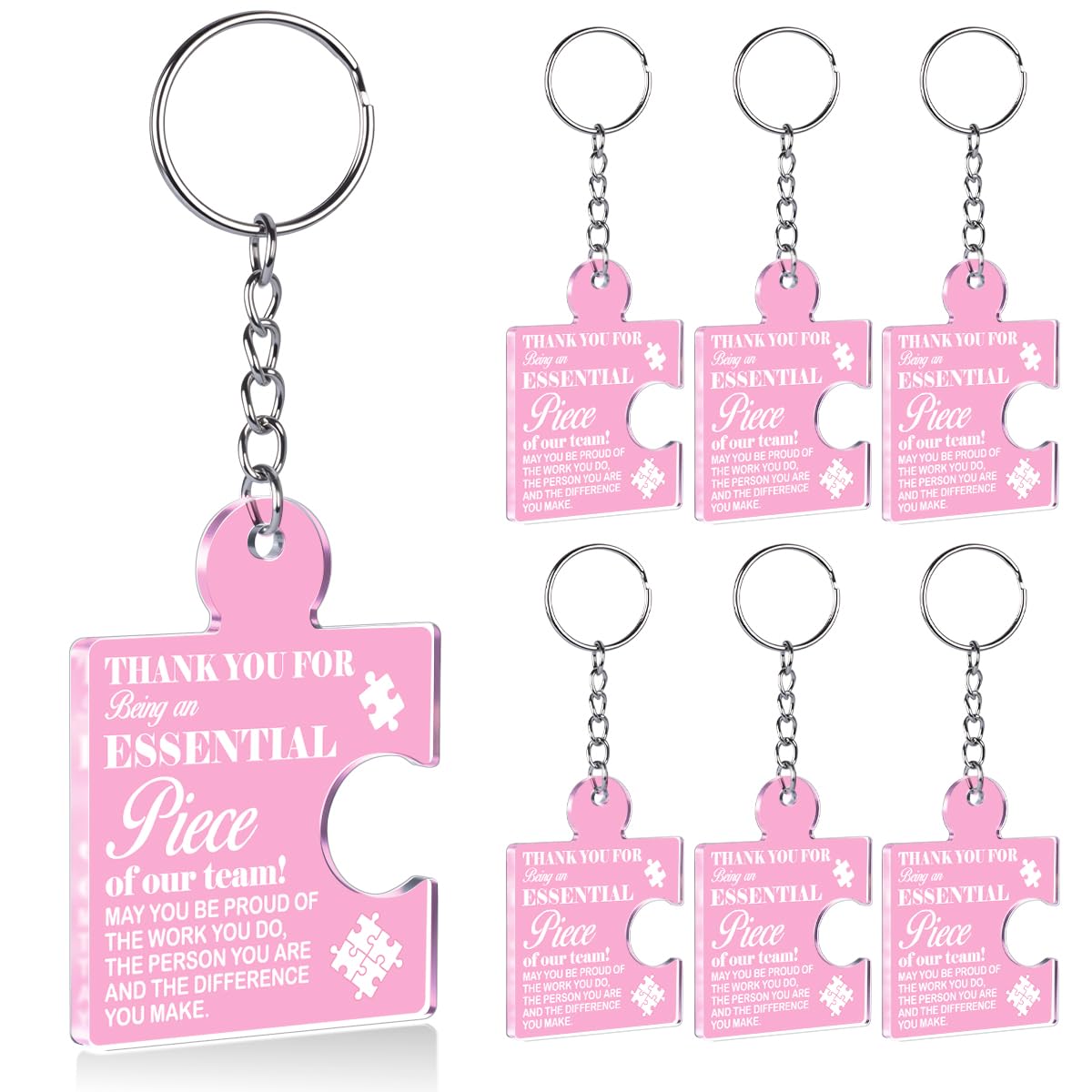 Team Appreciation Gifts Bulk Thank You Keychains for Coworkers