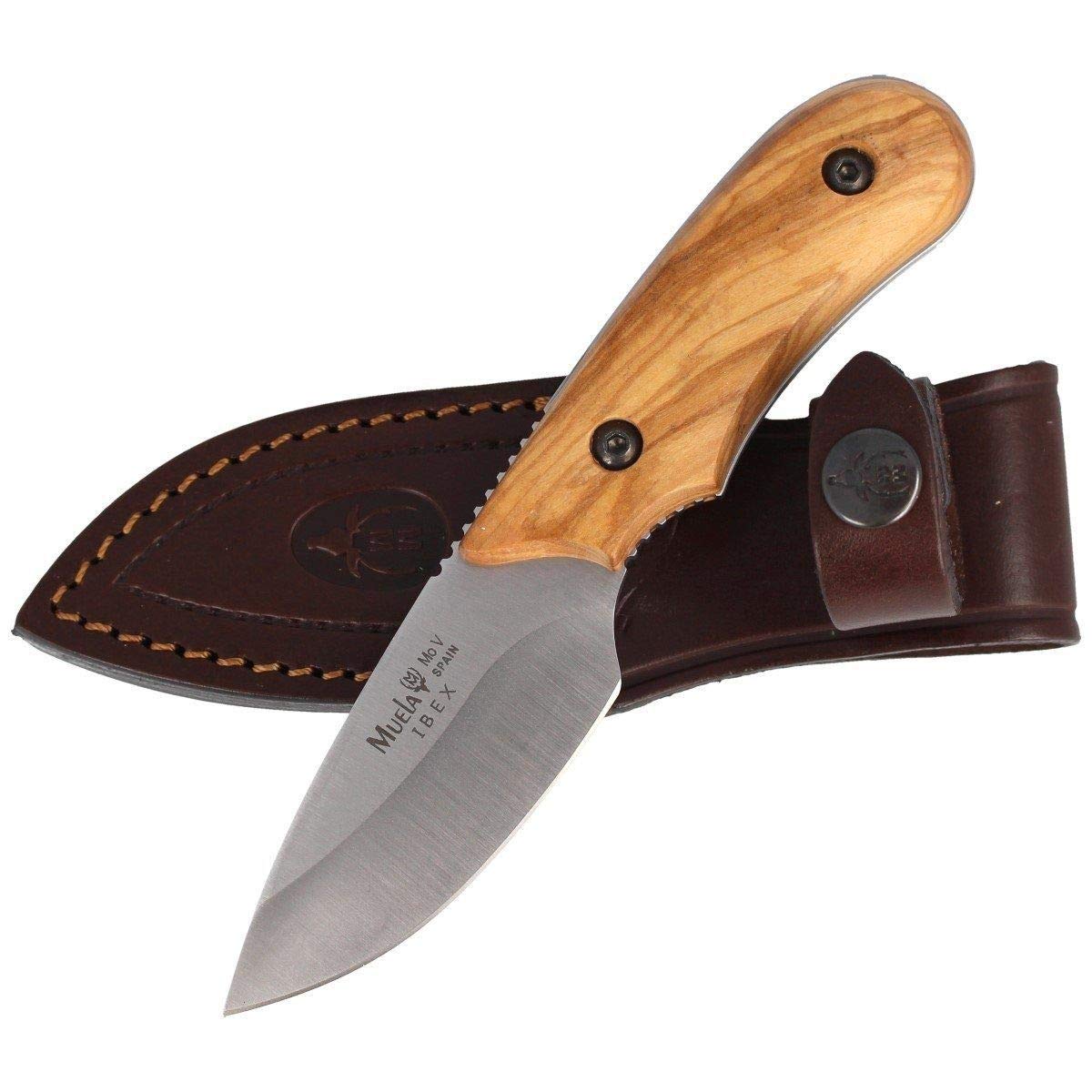 Muela Cuchillo Ibex IBEX-8.OL hoja de acero MoVa de 8 cm y empuñadura de olivo para Caza, Pesca, Supervivencia y Bushcraft Realizado en Ciudad Real + Portabotellas de regalo