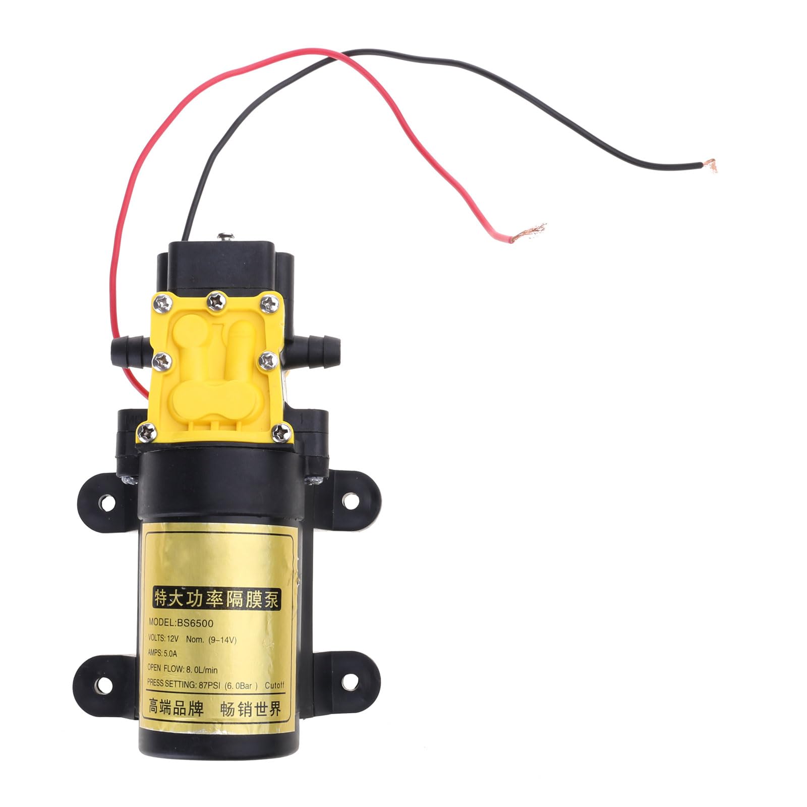 8L/min Diaphragm Electric for Water Pressure Self-Priming Water Car Wash Accessories Water Sprayer Car Wash