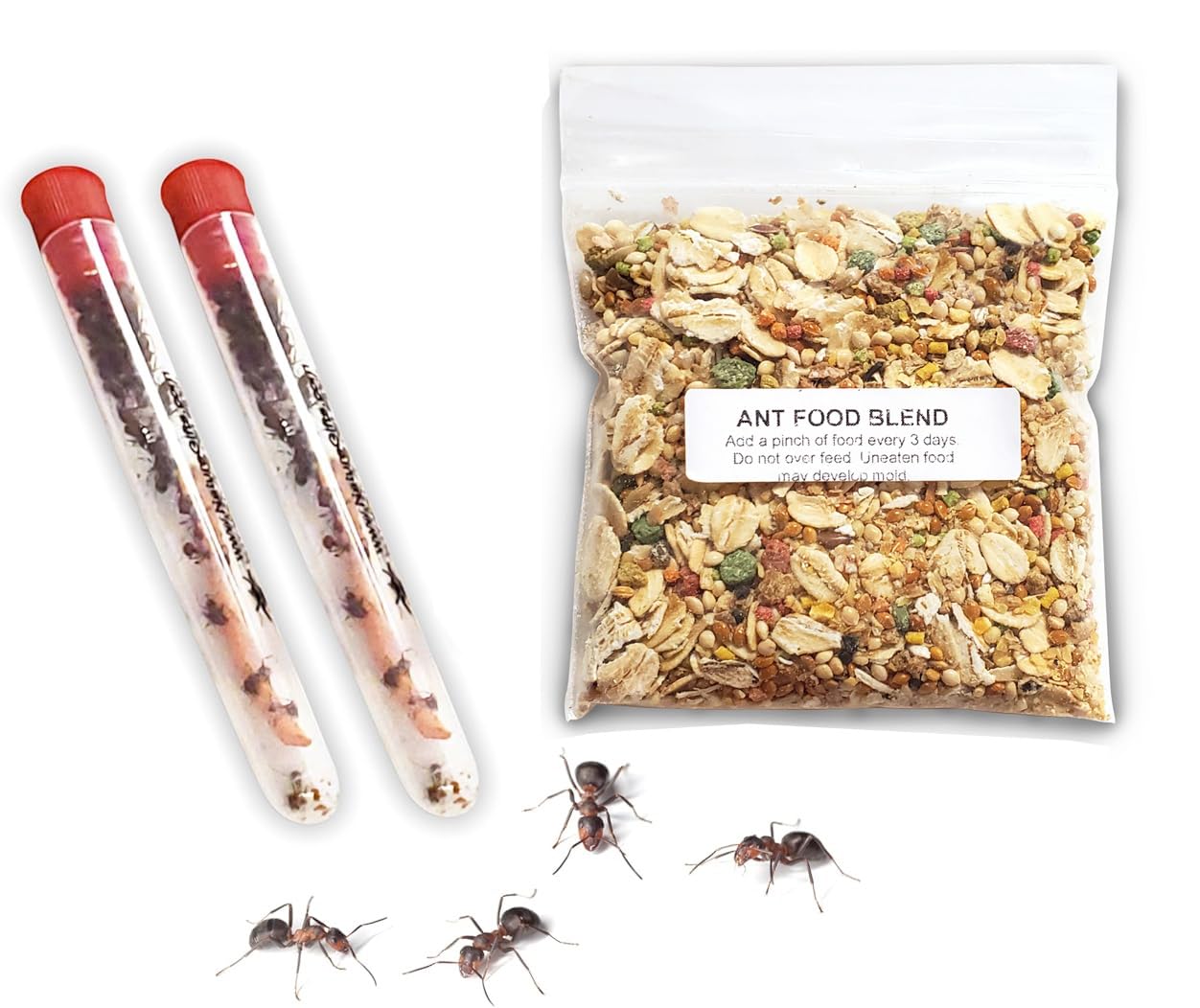 50 Live Ants for Ant Farms Plus Ant Food Included Red Harvester Ants for Ant Habitats - Live Arrival Shipped Now - Perfect for Educational Science Projects & Ant Habitat Experience
