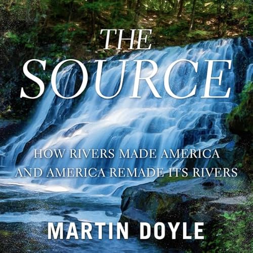 The Source Audiolivro Por Martin Doyle capa