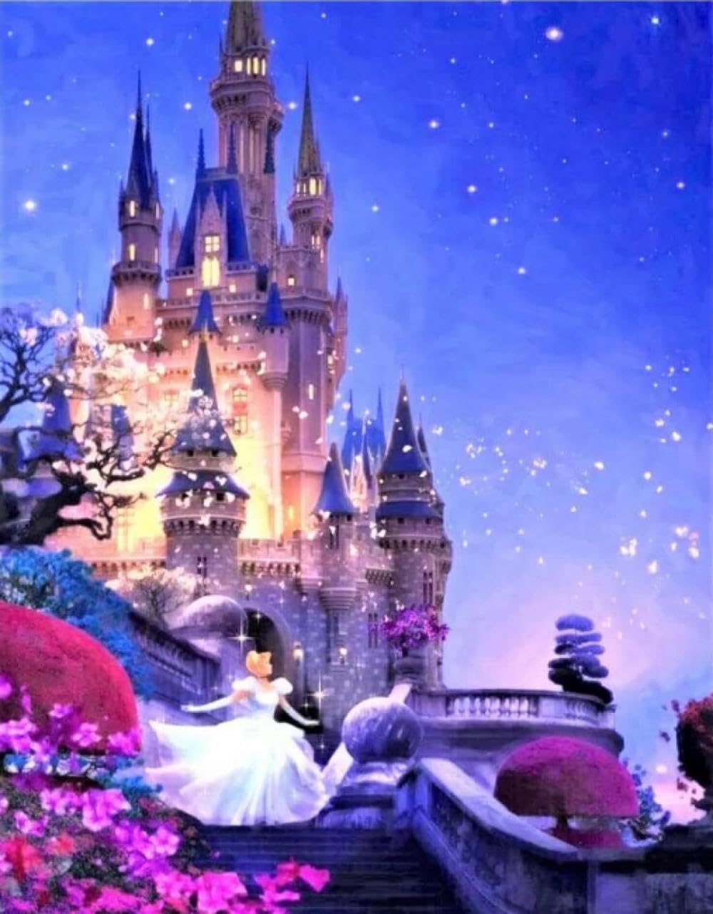 Queen Show Gold Cross Stitch Kit Beautiful Cinderella Castle In The Starry Sky Popular Pattern Printing Cross Stitch Kit 11Ct Beginner Engraved Embroidery Gift Diy Advanced Handmade (40X50cm)