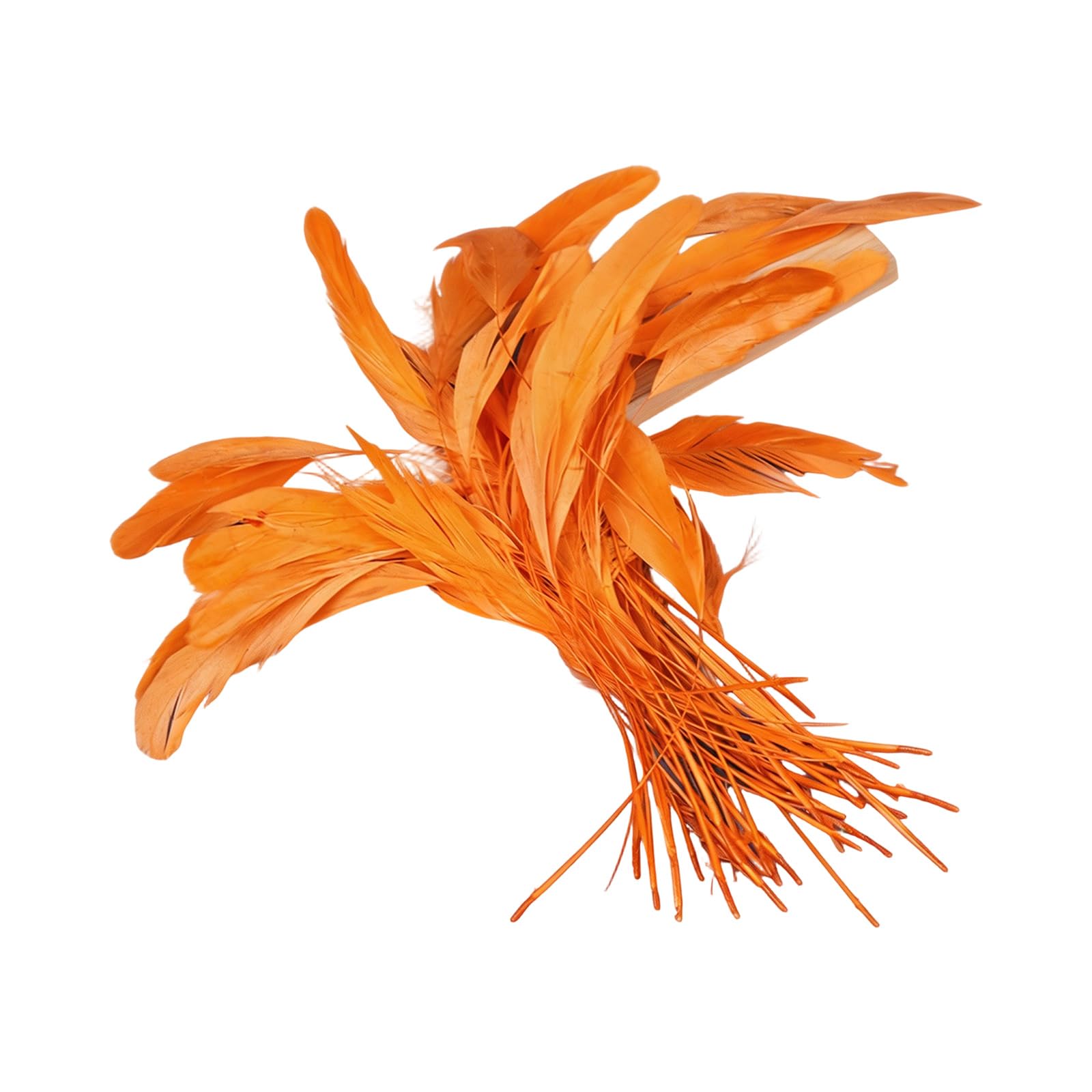 yanzunlrn Of 50 Multiple Color Plumage 12 18CM for Unique Costume Accessories and Event Decoration Long Craft Quills