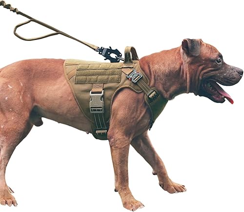 ICEFANG - Arnés táctico para perros, 2 hebillas de metal, panel de velcro, chaleco para transportar carga, ligero y modular (MOLLE), para perro de