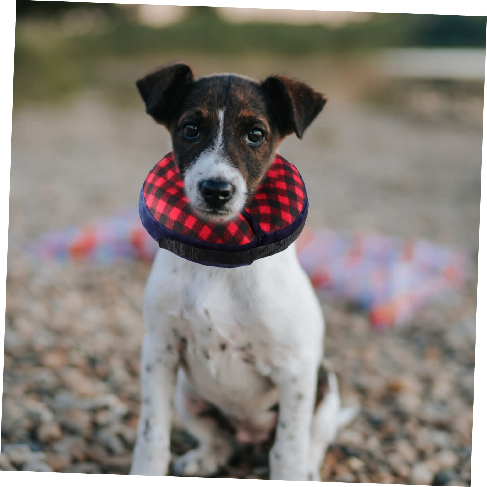 VANZACK 4pezzi Collare Gonfiabile Per Animali Domestici Comfort e Libertà Di Movimento Per Cani e Gatti Dopo Interventi Chirurgici Protezione e Traspirante Per Guarigione Senza