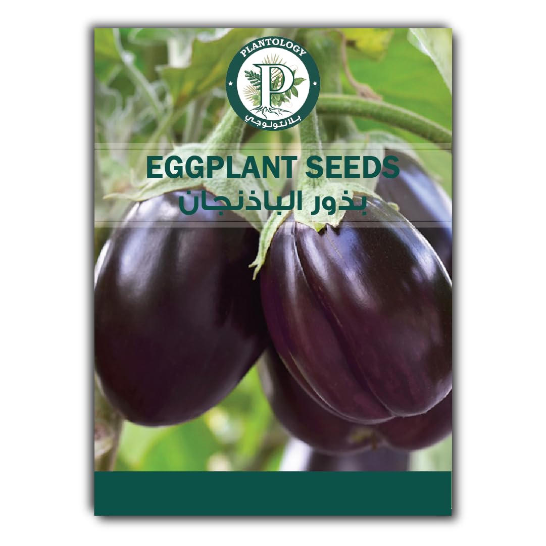 Eggplant Seeds for Planting - Eggplant Round Seeds - Vegetable Seeds EggPlant for Growing