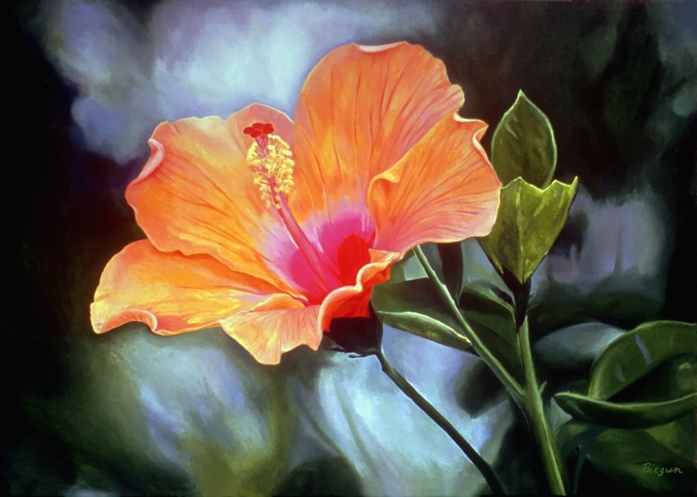 Amazon.com: Posterazzi Bright Orange Hibiscus Flower. Oil Painting