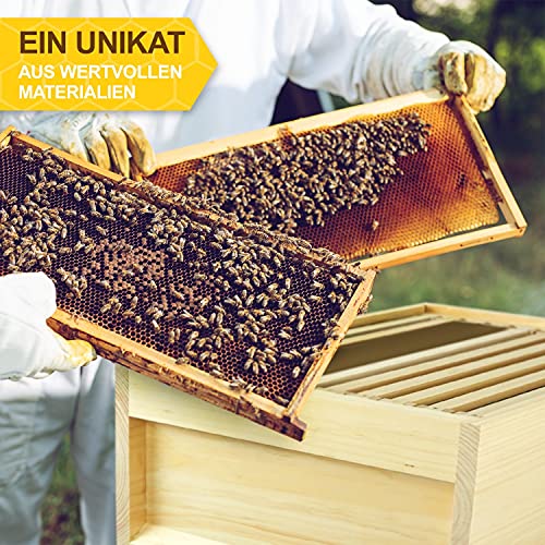 APIFORMES Deutsch Normal Maß (DNM) - Weimutskiefer 10 Waben Beute mit 30 Rächmchen Magazinebeute nach Dr. Liebig Imkerei… – Bild 8