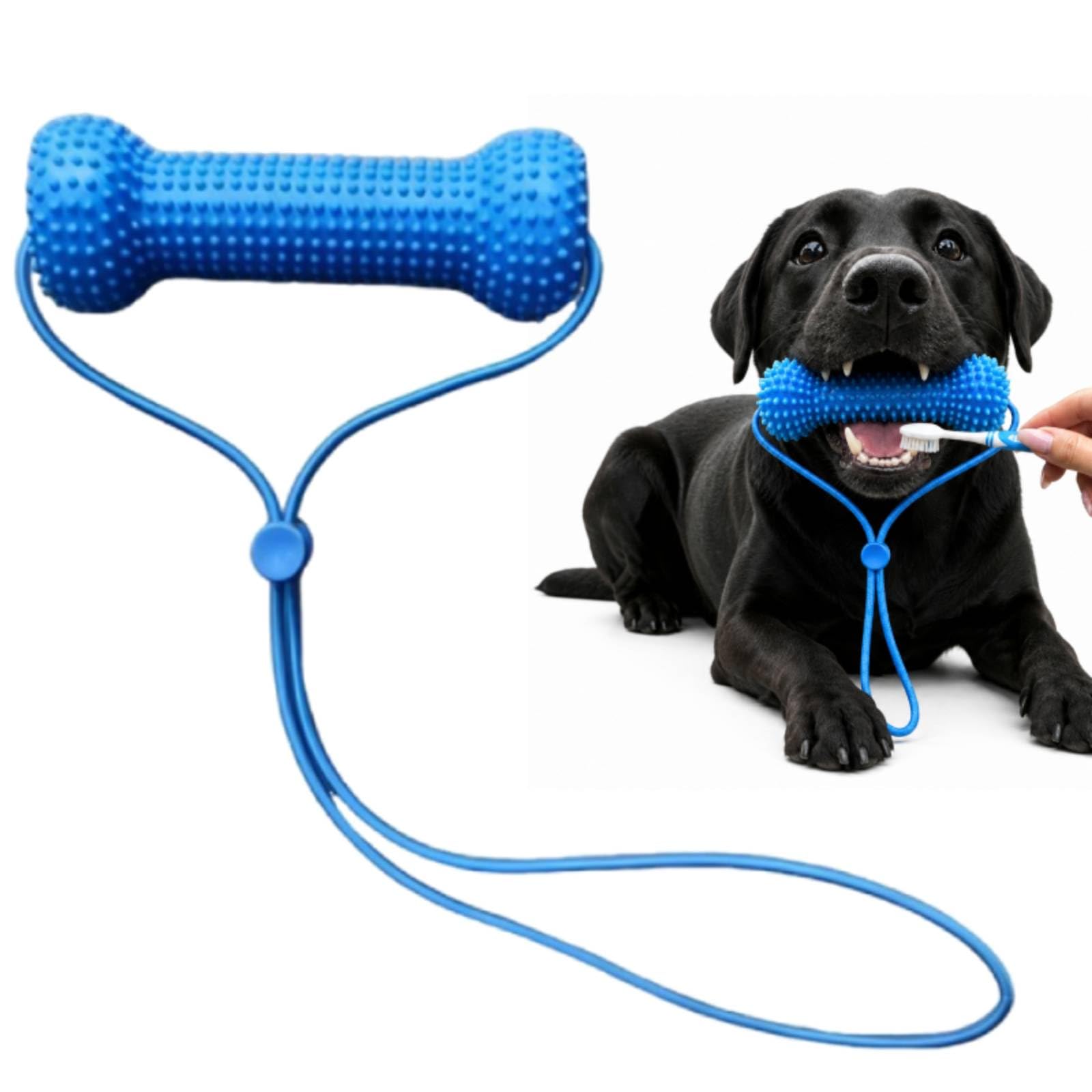 Dual-Action Canine Dental Prop, Dog Dental Chew Toy and Teeth Brushing Aid, Dogs Toothbrush Toys, Reusable Dog Teeth Cleaning Tool for Easier Pet Oral Care, Small Medium Large Dogs (1Pcs)