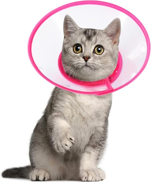 Vivifying Pet Cone, Adjustable Cat Cone, 5.7-8 Inches Lightweight Elizabethan Collar for Puppies, Small Dogs and Cats (Pink)
