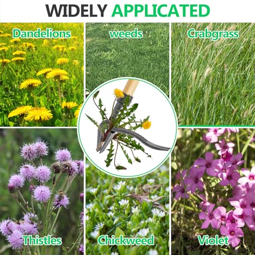image for RexWeed BellaJoyz Weed Puller, Stand Up Weed Puller Tool with Long Han