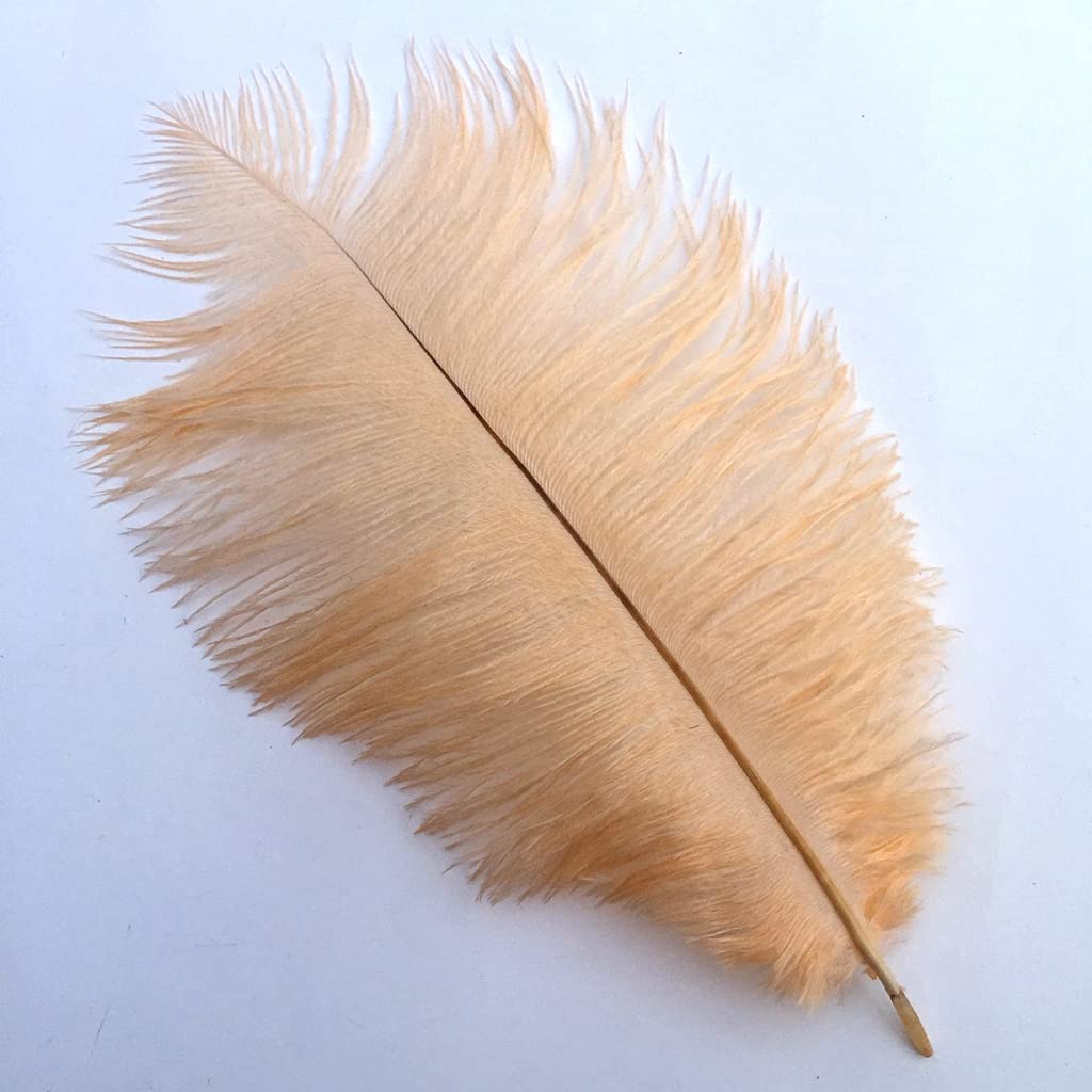 Shekyeon Champagne 16-18Inch 40-45Cm Ostrich Feather Diy Craft Feather Pack Of 10(Champagne)