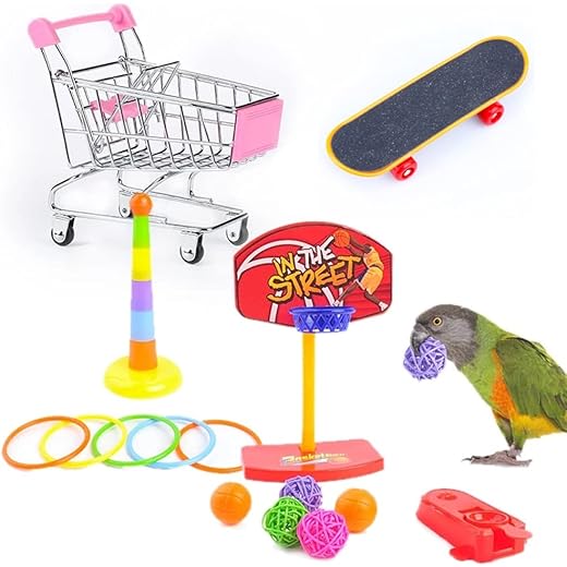 7PCS Bird Toys Set