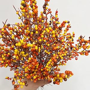 25 Pcs Artificial Berry Picks 10 Inches Fall Picks Orange Fall Berry Stems for Vases Thanksgiving Floral Arrangements Christmas Tree Autumn Harvest Party Decor (Orange) 25 Pcs Artificial Berry Picks 10 Inches Fall Picks Orange Fall Berry Stems for Vases Thanksgiving Floral Arrangements Christmas Tree Autumn Harvest Party Decor Orange