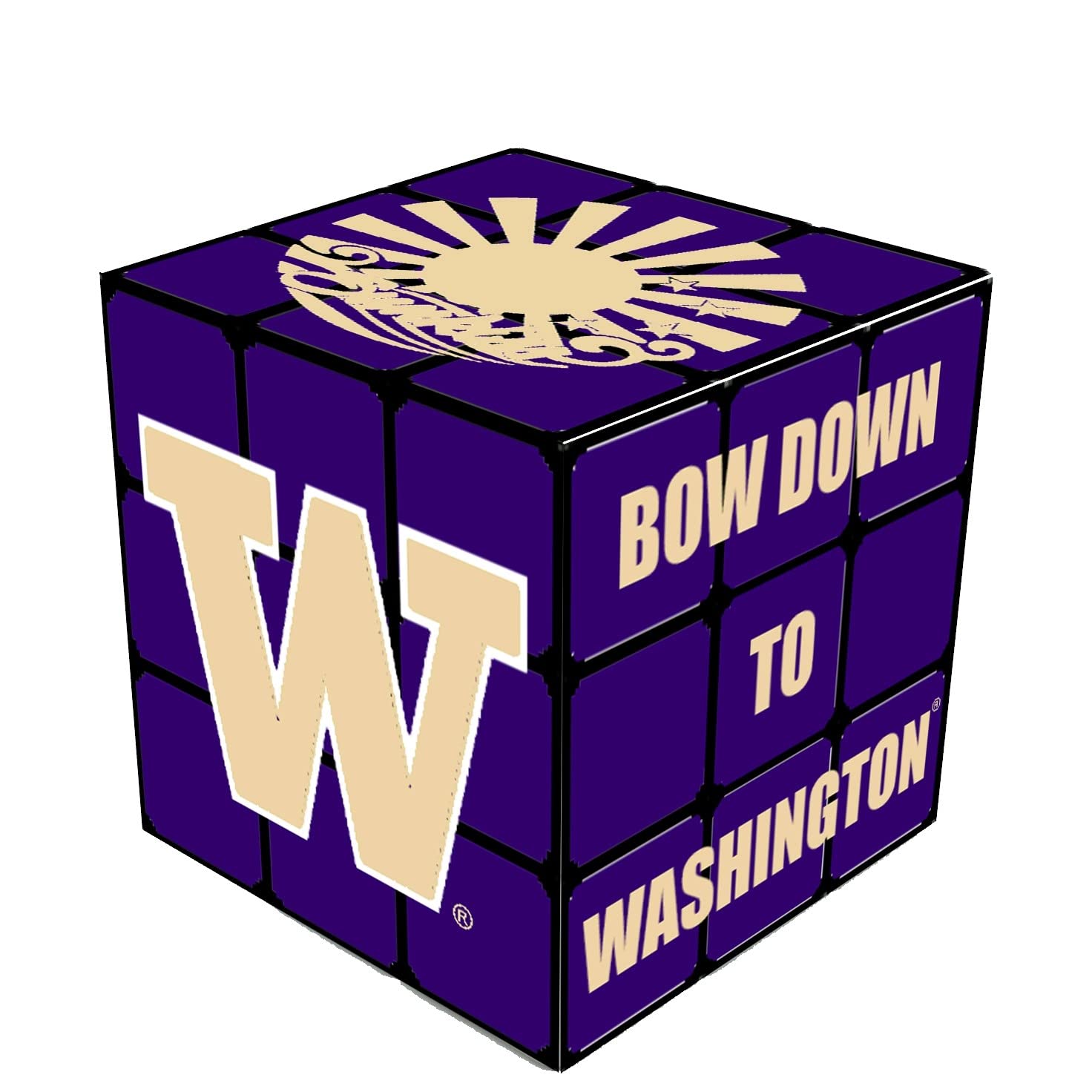 Sunkiss Unlimited NCAA Washington Huskies Swizzle Cube (Medium)