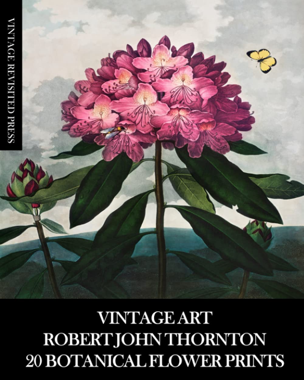 Jhon-Richard 絵画 USA 植物 花　額装品　ヴィンテージ 高級 John-Richard Collection 