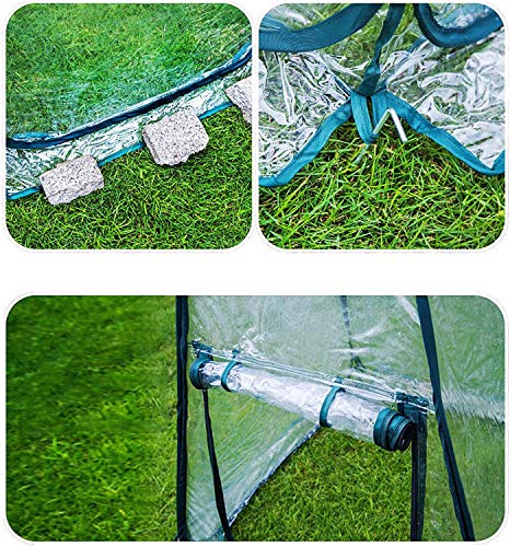 Mini-Gewächshaus, Pop-up-Gewächshaus, PVC-Gewäch Produktbild-Vorschau 10