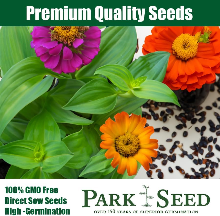 Miniatura 3 de Park Seed Semillas para Plantar Flores de Zinnia, Fáciles de Cultivar, Perfectas para Jardín de Primavera, Zinderella Red, Paquete de 25