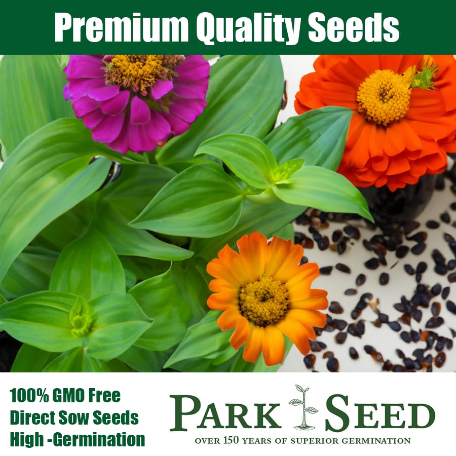 Park Seed Zinnia Seeds Planting Flowers Easy to Grow Non-GMO Perfect for Spring Garden Dreamland Pink Pack of 25 product thumbnail 4