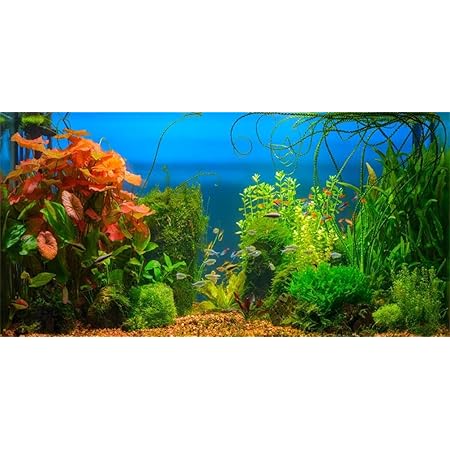 10x8ft Underwater World Backdrop - Colorful Coral Reef Photo Background For Parties