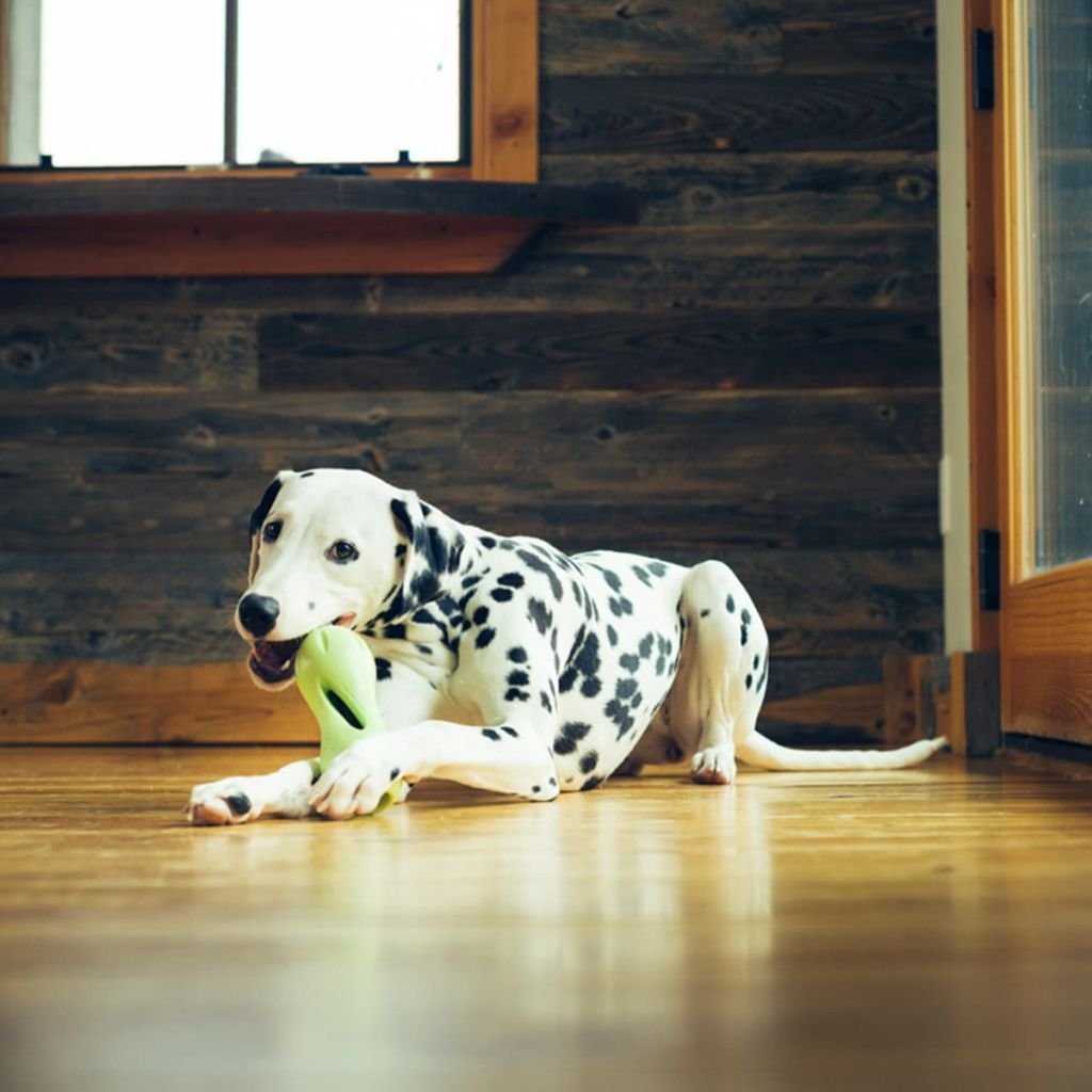 West Paw Zogoflex Qwizl Interactive Treat Dispensing Dog Puzzle Treat Toy for Dogs, Granny Smith, Large - image 3