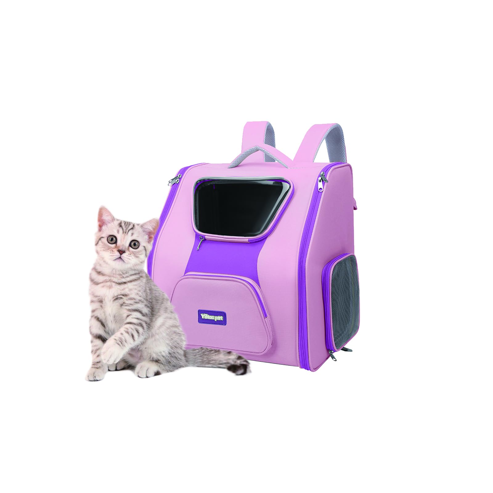 Galatée Mochila para Gatos, Mochila Cómoda para Perros para Viajes, Senderismo y Acampadas, Mochila Transpirable para Mascotas, Bolsa De Viaje para Gatos Homologada para Aerolíneas(Morado)