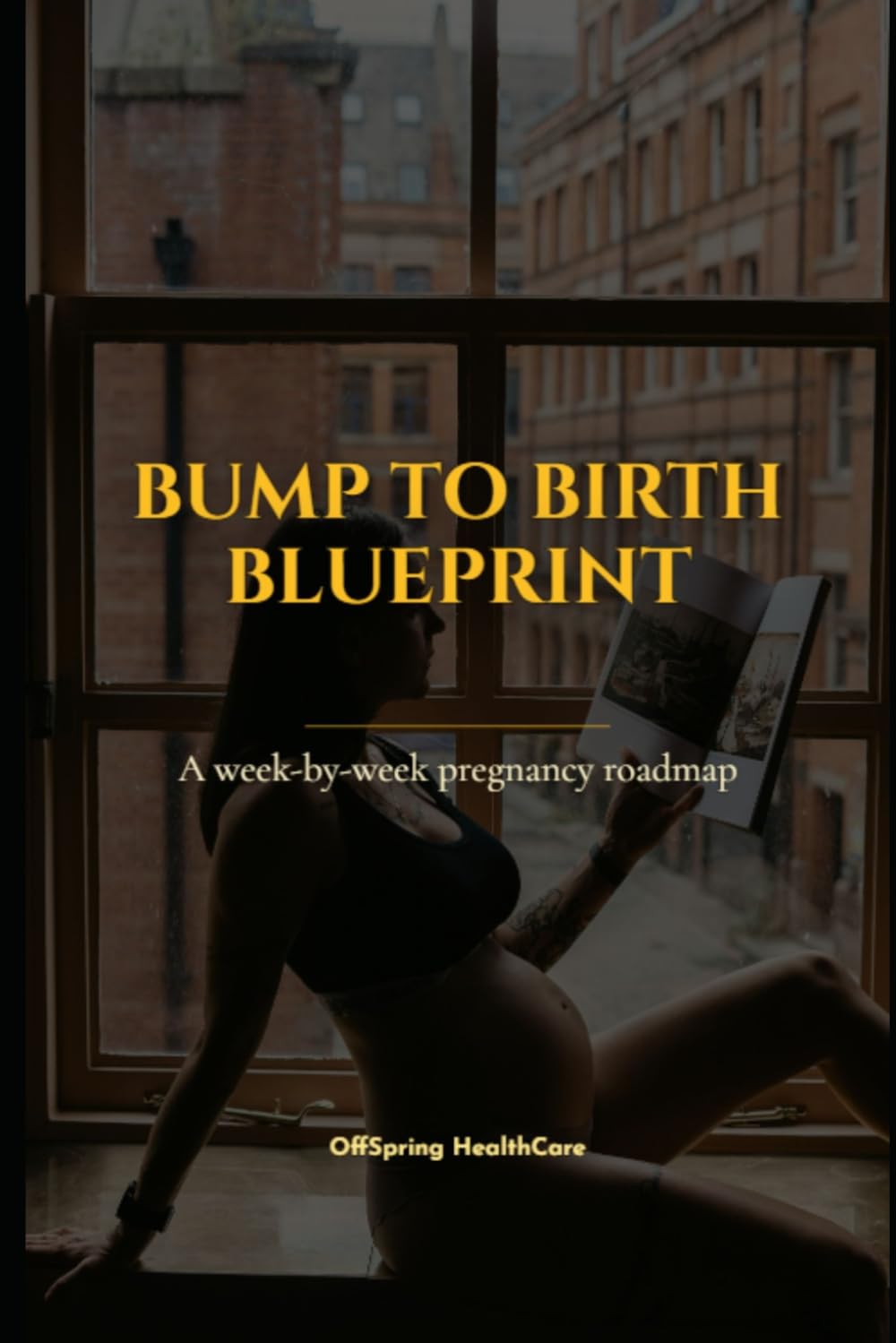 “Bump to Birth Blueprint: Your Pregnancy Week‑by‑Week Roadmap”: “Evidence‑based, doctor‑guided, written in simple language for real moms.”