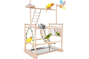 Bird Jungle Gym: Avian Paradise for Playful Budgies