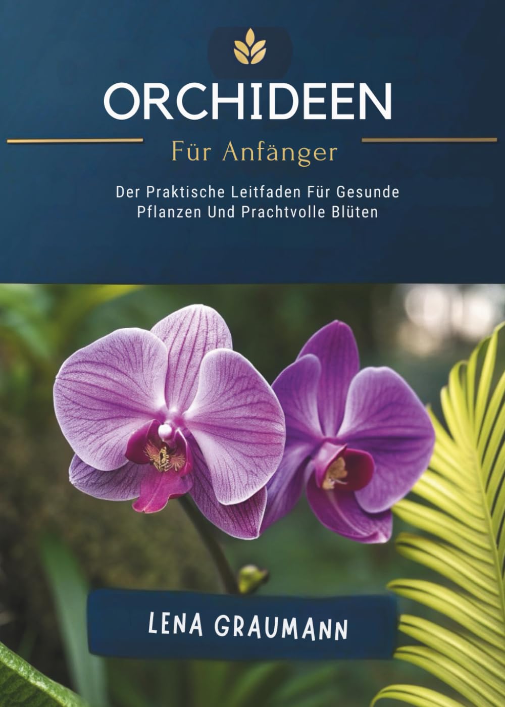 Orchideen Für Anfänger: Der Praktische Leitfaden Für Gesunde Pflanzen Und Prachtvolle Blüten