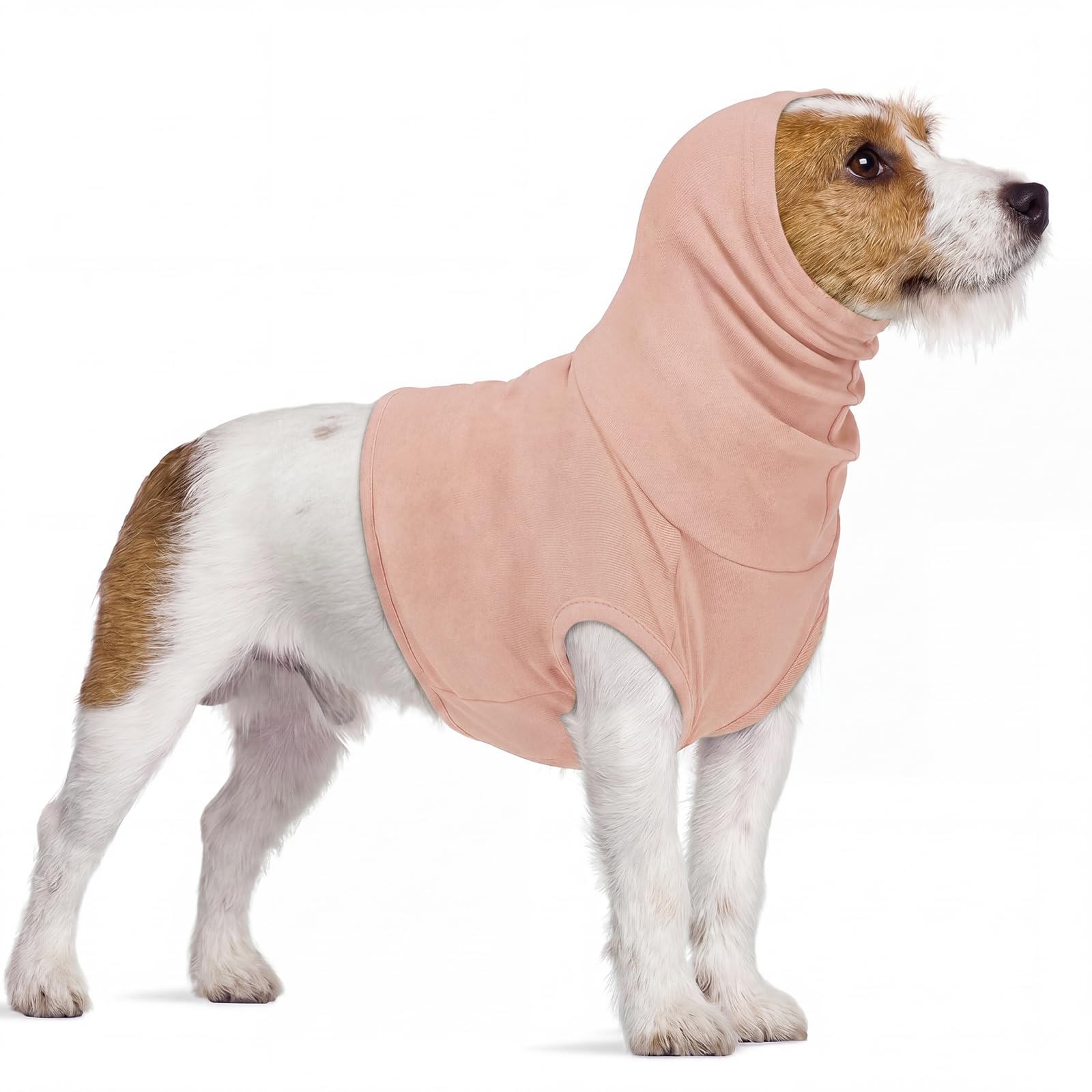 PUMYPOREITY Fascia per ematoma auricolare canina e felina (rosa pelle, S)