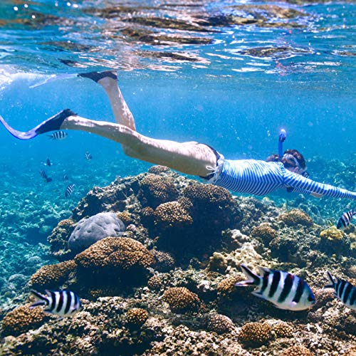Image of Kids Snorkeling Set Children Mask Fin Snorkel Set Snorkeling Gear Snorkel Mask + Adjustable Swimming Kids Flippers+ Dry Snorkel Tube + Travel Bags