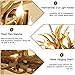Antler Chandelier 6 Light, Resin Deer 9 Antler Chandelier, Rustic Farmhouse Chandelier Lighting Vintage Light Fixtures, Deer Horn Decor for Dining Kitchen Living Room Store Church Wedding Gift