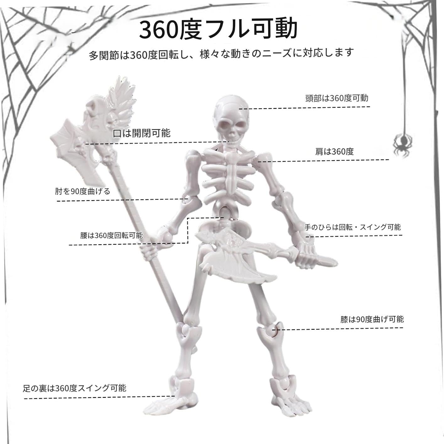 Amazon | プラモデル 骸骨 2セット 13cm 関節可動 組み立て式 ドクロ