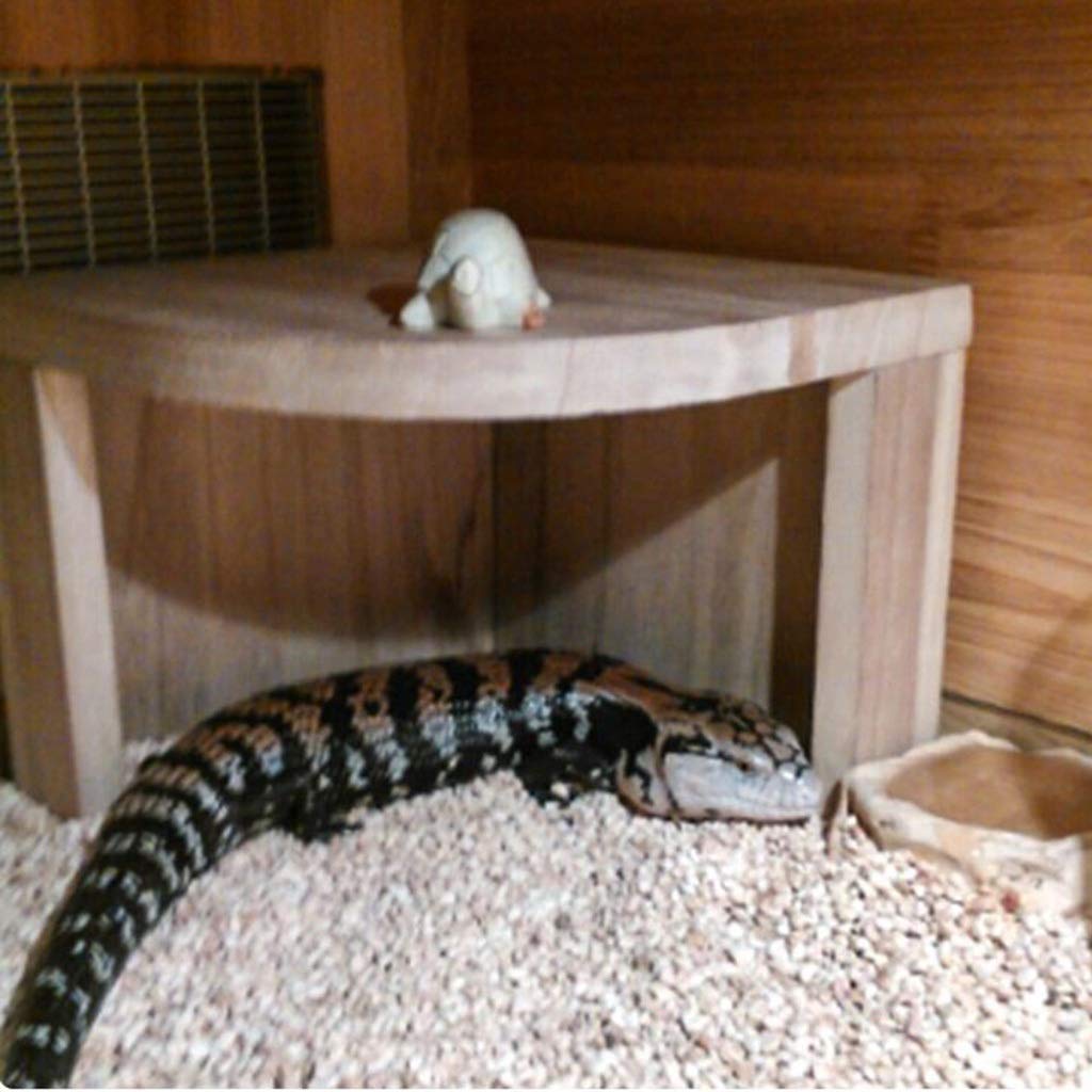 Escondite de reptiles de Paulownia, caja de cueva para reptiles, decoración de esquina de hábitat, escondites de tortugas, serpientes lagarto, accesorios para cajas de reptiles, adornos (20*16*15 cm)