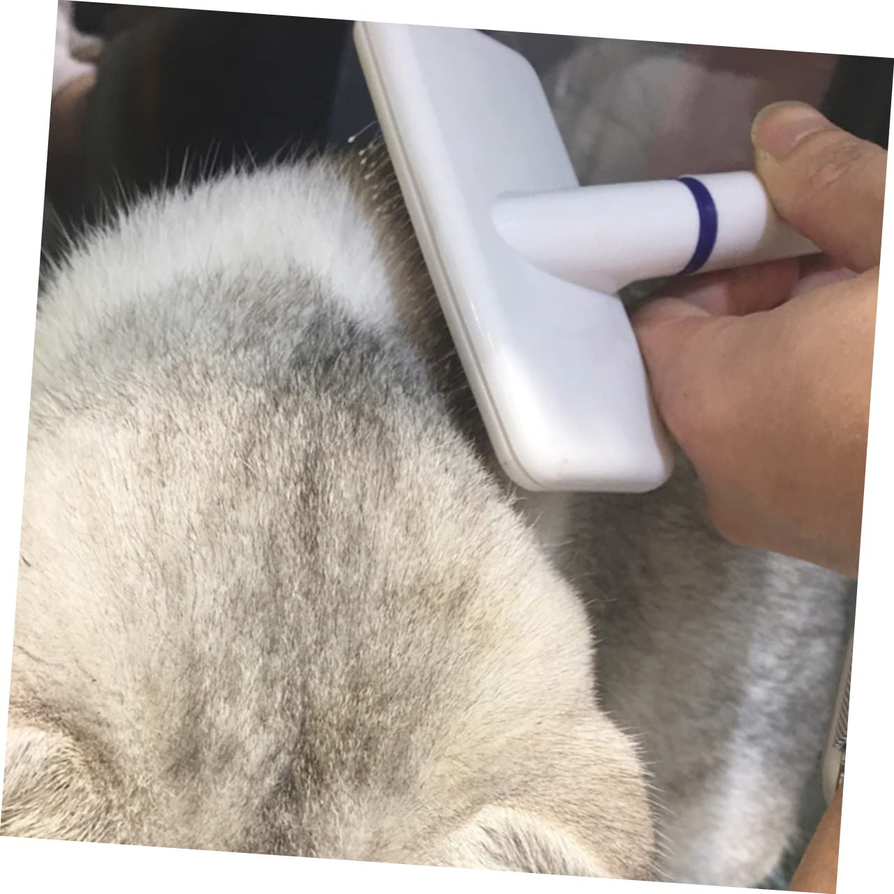 Toyvian Brosse De Toilettage Pour Chien Peigne Anti-mue Accessoires De Toilettage Portable Pour Animaux De Compagnie