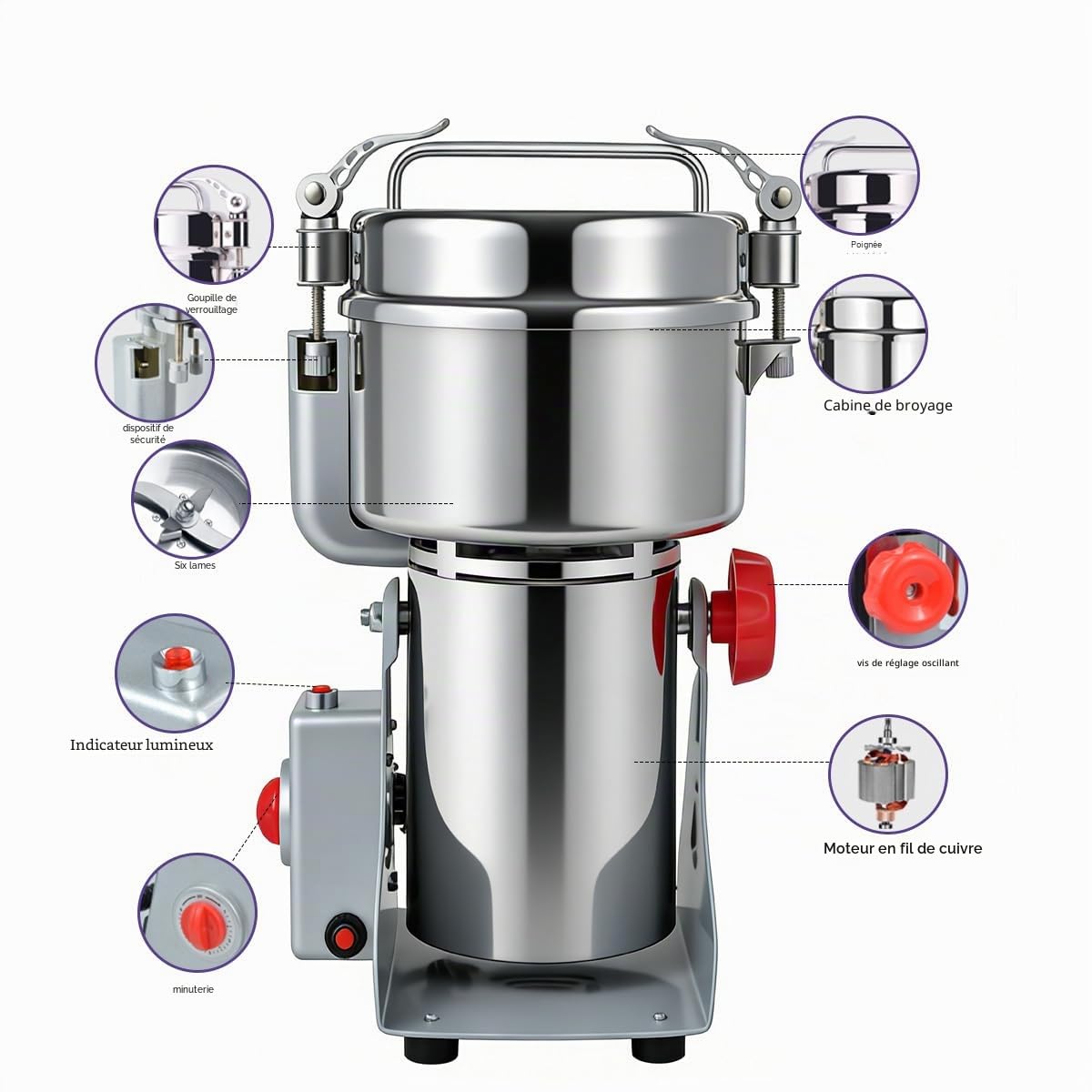 Royal Swiss® Moulin Électrique 1800W – Broyeur à Grains & Épices 350g en Inox | Moulin à Céréales, Café, Farine, Herbes | Haute Vitesse, Lames 3 Couches, Sécurité Anti-Surcharge (350g)