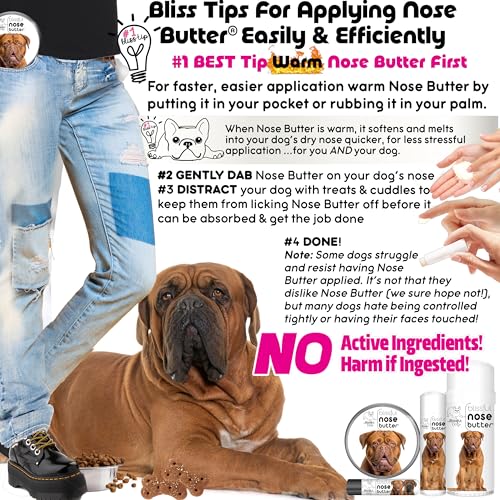 Image of The Blissful Dog Dogue De Bordeaux Nose Butter, Versatile Dog Nose Balm for Dry Nose, Handcrafted Nose Moisturizer, Easy-to-Apply Dog Essentials, Unscented, 2 oz.