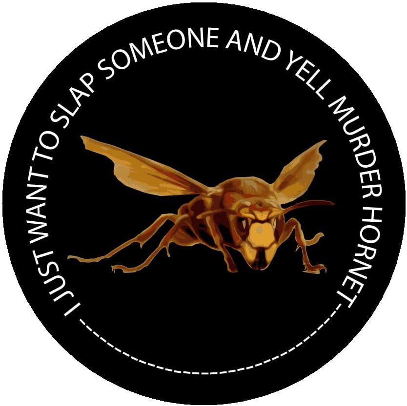 Murder Hornet I just Want to Slap Someone and Yell Murder Hornet, Funny, Humorous, Joke, I Make Decals®, 2.8 inch Circle, Hard Hat, Phone, Tool, Lunch, Box, Vinyl, Decal, Sticker