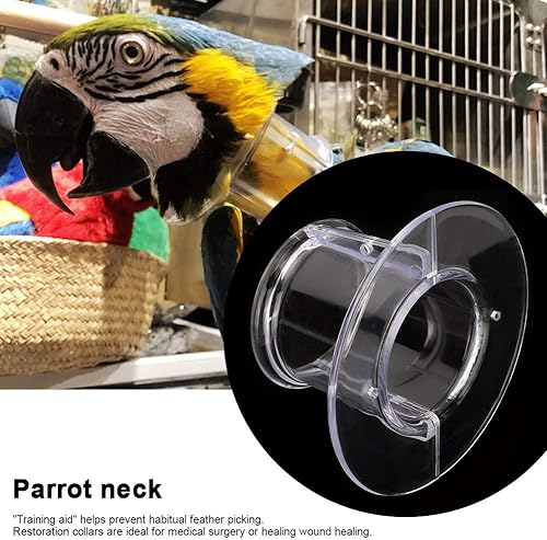 Miniatura 2 de Collar antimordedura para loro para mascotas, collar de loro para mascotas, antimordeduras, curación, protección para el cuello, collar de